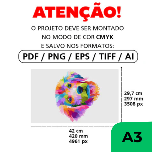 Imagem em Hover